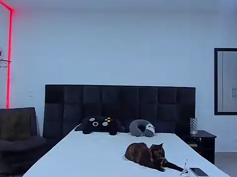 Alexander Martines online show from 12, 1, 2026