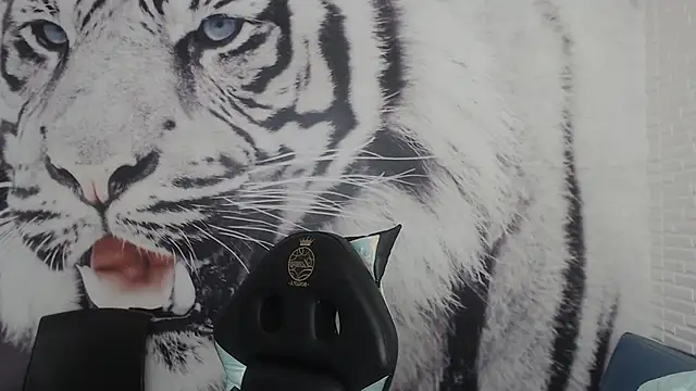 Salomeediaz  online show from 2, 3, 2025