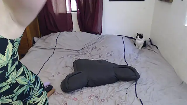 anja peach online show from 20, 4, 2026