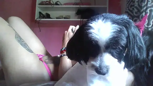 Bonecagulosa online show from 4, 11, 2025