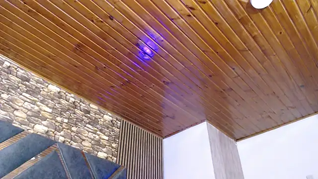 marie hss online show from 8, 11, 2025