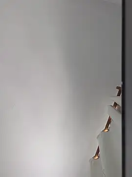 Snapshot of publicsir chatting on 14, 11, 2025 publicsir online show from 14, 11, 2025