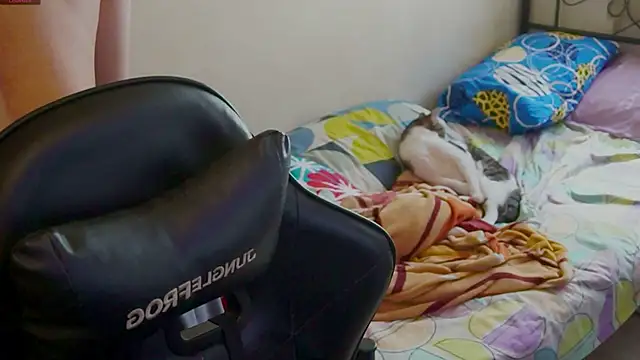 xofix online show from 20, 9, 2025