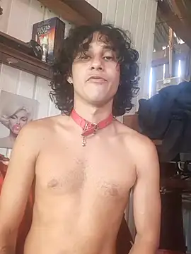 pedrodavid  online show from 4, 7, 2026