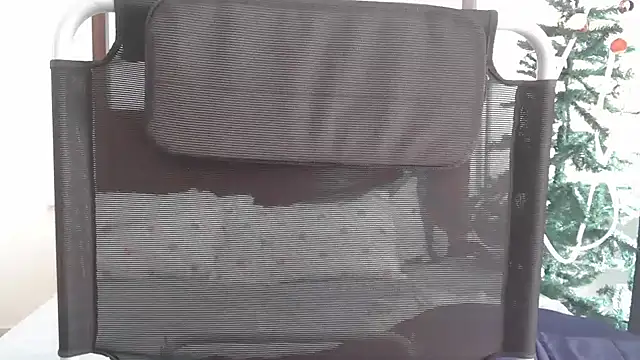 shimoona online show from 17, 12, 2025