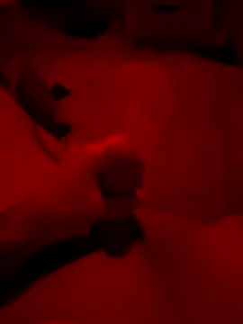 Amo 2121 online show from 5, 12, 2025