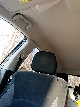 otterlover123 online show from 16, 2, 2026