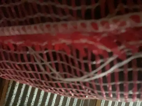 AlexaWarner online show from 30, 3, 2026