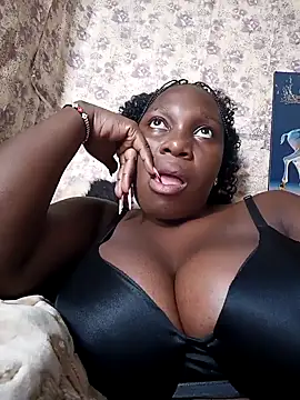 Golden diver online show from 13, 11, 2025