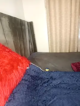 Golden diver online show from 24, 11, 2025