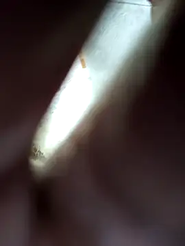 Gautami-telugu online show from 6, 11, 2025