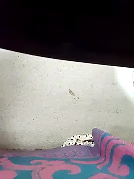 Gautami-telugu online show from 20, 10, 2025