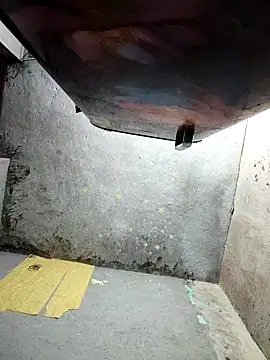 Gautami-telugu online show from 16, 10, 2025