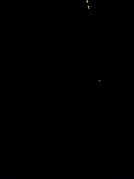 taradobbsafadok online show from 1, 12, 2025