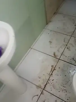 taradobbsafadok online show from 5, 12, 2024