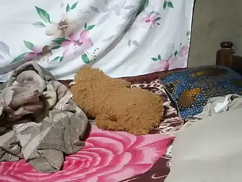 Snapshot of mdivah chatting on 13, 11, 2025 mdivah online show from 13, 11, 2025