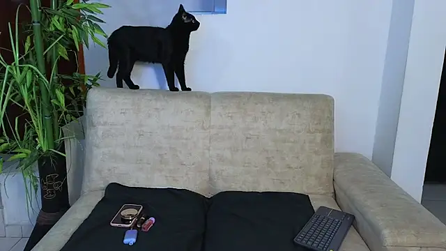 Lorenne Miller online show from 13, 3, 2026