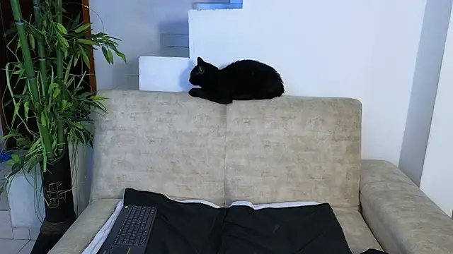 Lorenne Miller online show from 22, 4, 2026