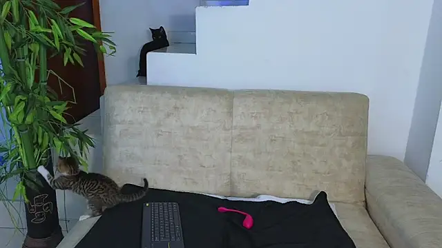 Lorenne Miller online show from 21, 10, 2025