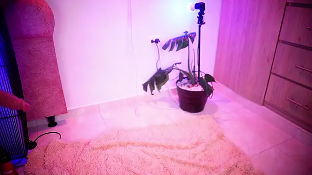 Mikubani18 online show from 8, 11, 2025