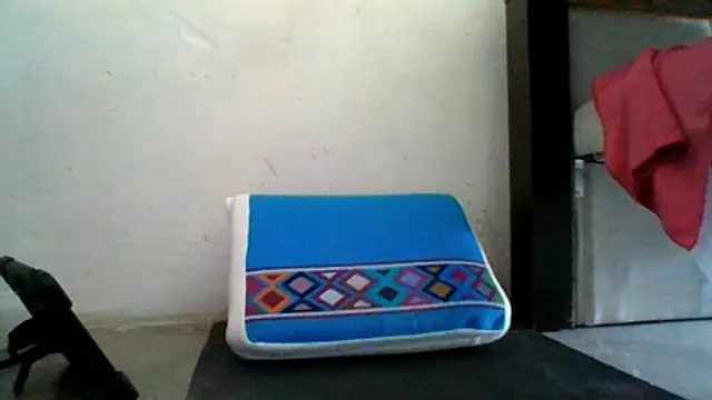 Snapshot of ale3J4a chatting on 11, 6, 2026 ale3J4a online show from 11, 6, 2026