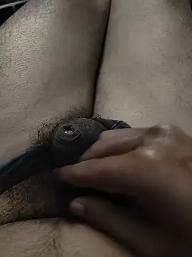 biharihotlund online show from 7, 2, 2026