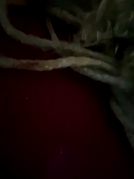 Snapshot of sammoura01 chatting on 25, 9, 2025 sammoura01 online show from 25, 9, 2025