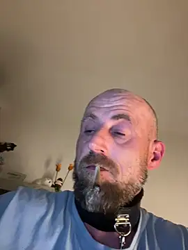 DonKazik online show from 15, 5, 2026
