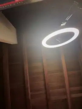 Valentino Xander online show from 27, 3, 2026