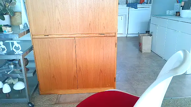 costanza7070 online show from 21, 4, 2026