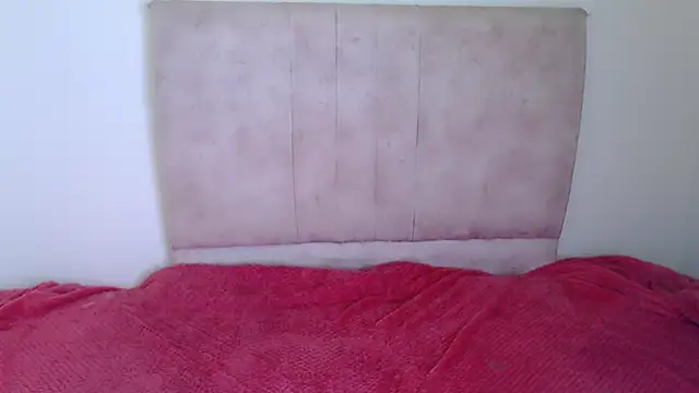 gatitaa777 online show from 25, 11, 2025