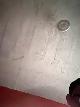 VL25DN26 online show from 19, 2, 2026