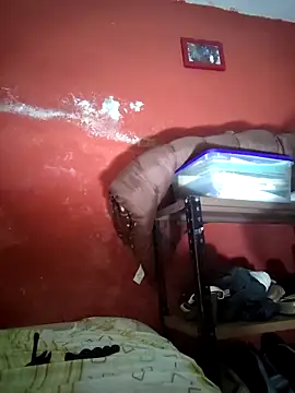 VL25DN26 online show from 19, 12, 2025