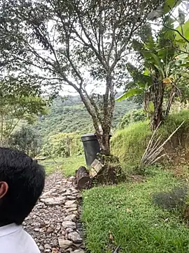 FlpGmz online show from 27, 3, 2026