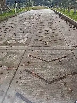 Snapshot of Cuervo_maniaco chatting on 12, 10, 2025 Cuervo maniaco online show from 12, 10, 2025