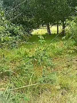 Snapshot of Cuervo_maniaco chatting on 30, 10, 2025 Cuervo maniaco online show from 30, 10, 2025