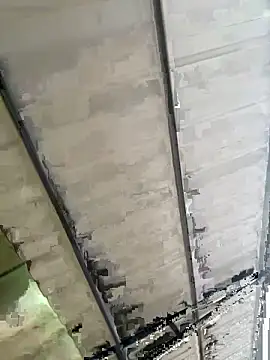 eva y marcelo online show from 3, 11, 2025