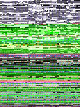 Snapshot of Savage_baby chatting on 13, 3, 2025 Savage baby online show from 13, 3, 2025