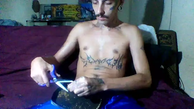 sellvageria online show from 22, 2, 2026