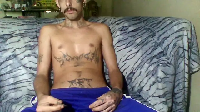 sellvageria online show from 8, 2, 2026