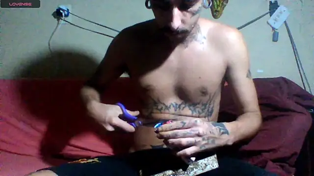 sellvageria online show from 19, 3, 2026