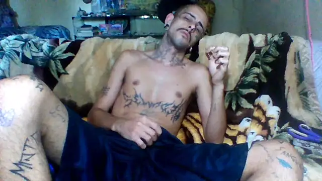 sellvageria online show from 25, 11, 2025