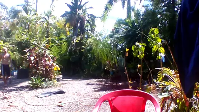 sellvageria online show from 15, 12, 2025