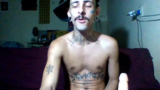 sellvageria online show from 20, 2, 2026