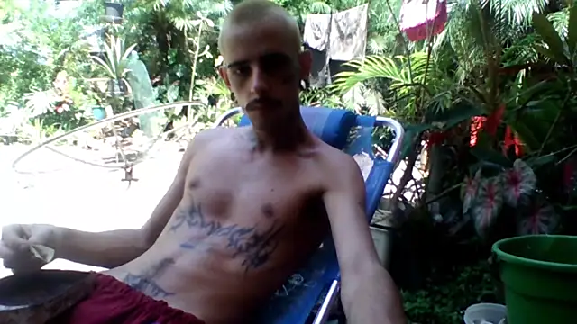 sellvageria online show from 22, 11, 2025