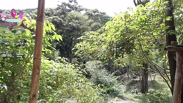 andreu mature online show from 20, 11, 2025