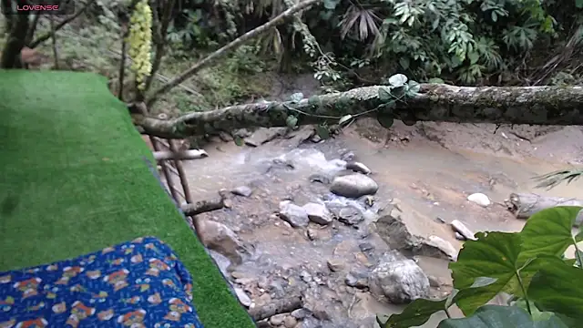 andreu mature online show from 16, 4, 2026