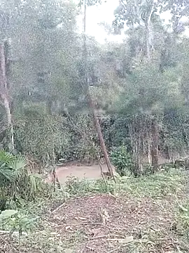 andreu mature online show from 26, 3, 2026