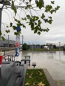 baramadalin online show from 1, 12, 2025