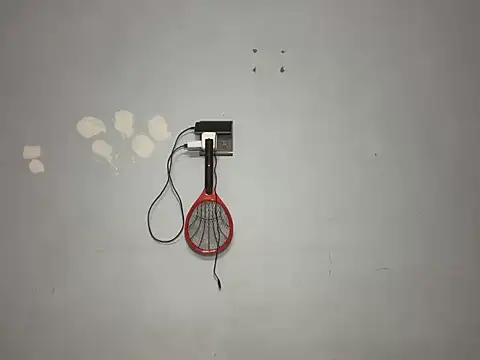 dhnropmoc008 online show from 10, 11, 2025